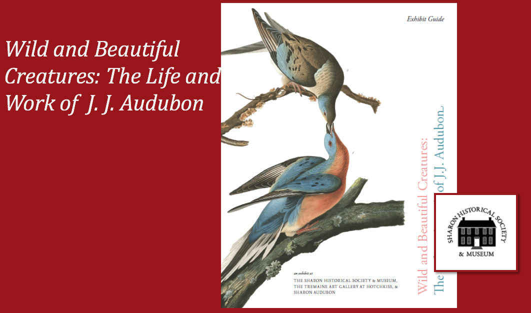 Wilde and Beautiful Creatures: The Life and Work of JJ Audubon