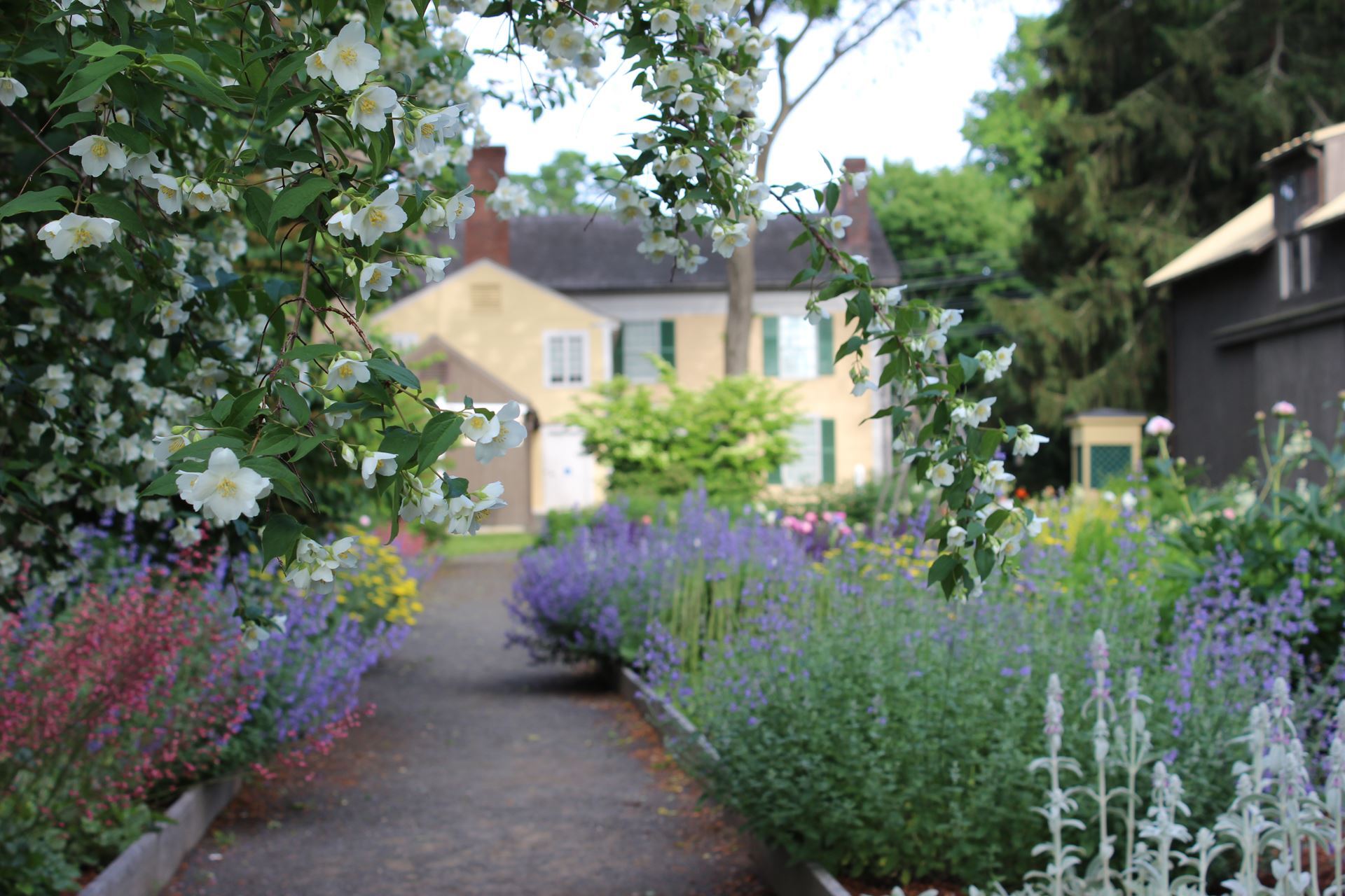 Gardens at the Florence Griswold Museum